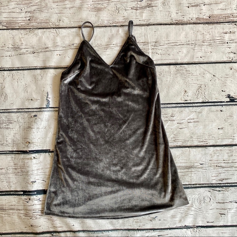 NWOT Seek the Label Gray Velvet Dress